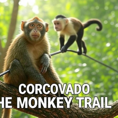 Corcovado The Monkey Trail Hotel Drake Bay Luaran gambar