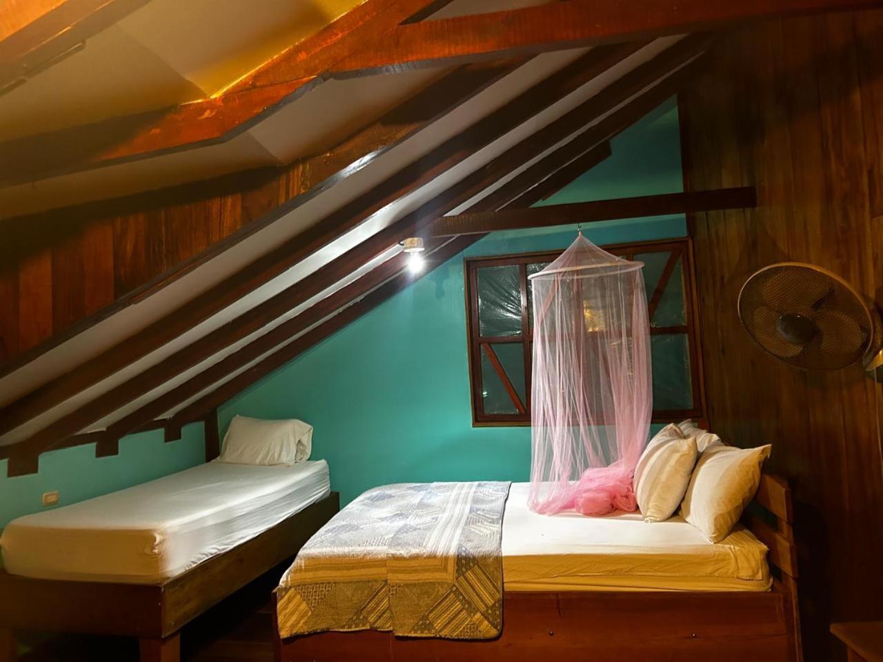 Corcovado The Monkey Trail Hotel Drake Bay Luaran gambar